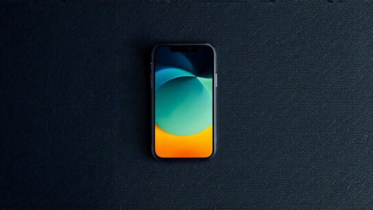 What is the iOS developer beta