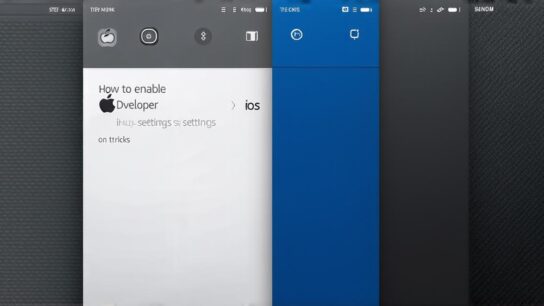 How to enable developer settings on iOS